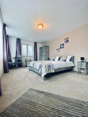 CASA ANKELI Buşteni